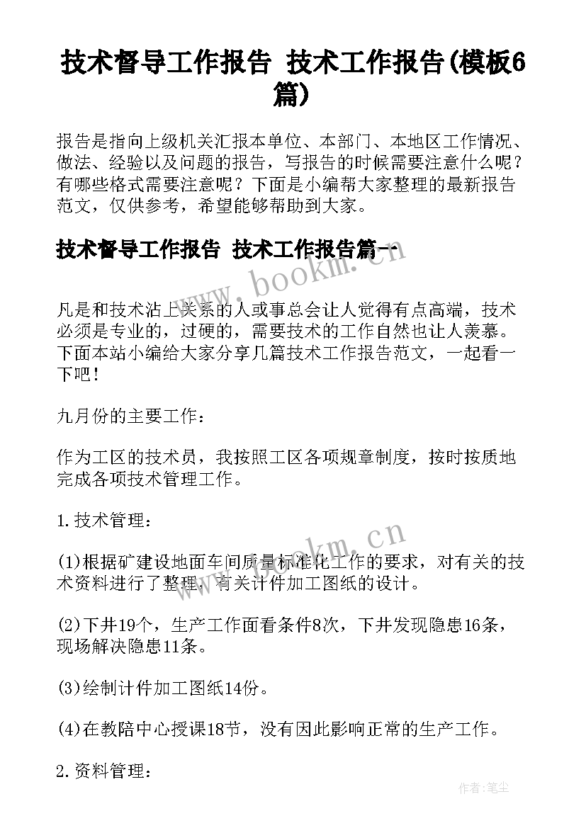 技术督导工作报告 技术工作报告(模板6篇)