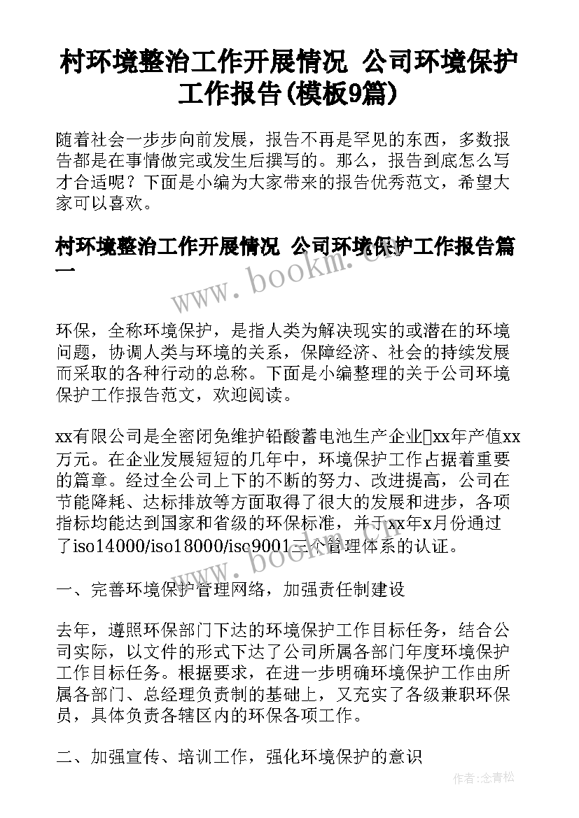 村环境整治工作开展情况 公司环境保护工作报告(模板9篇)