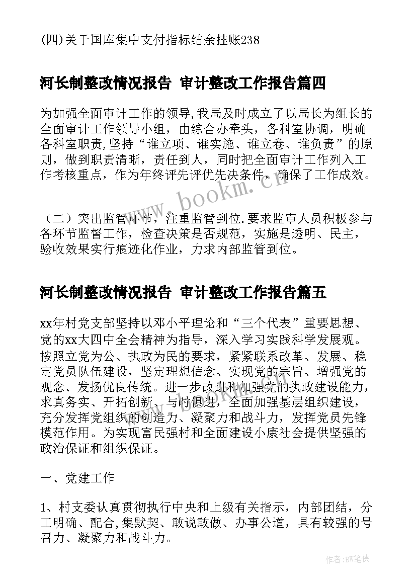 最新河长制整改情况报告 审计整改工作报告(通用5篇)