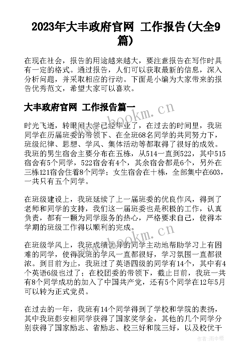 2023年大丰政府官网 工作报告(大全9篇)