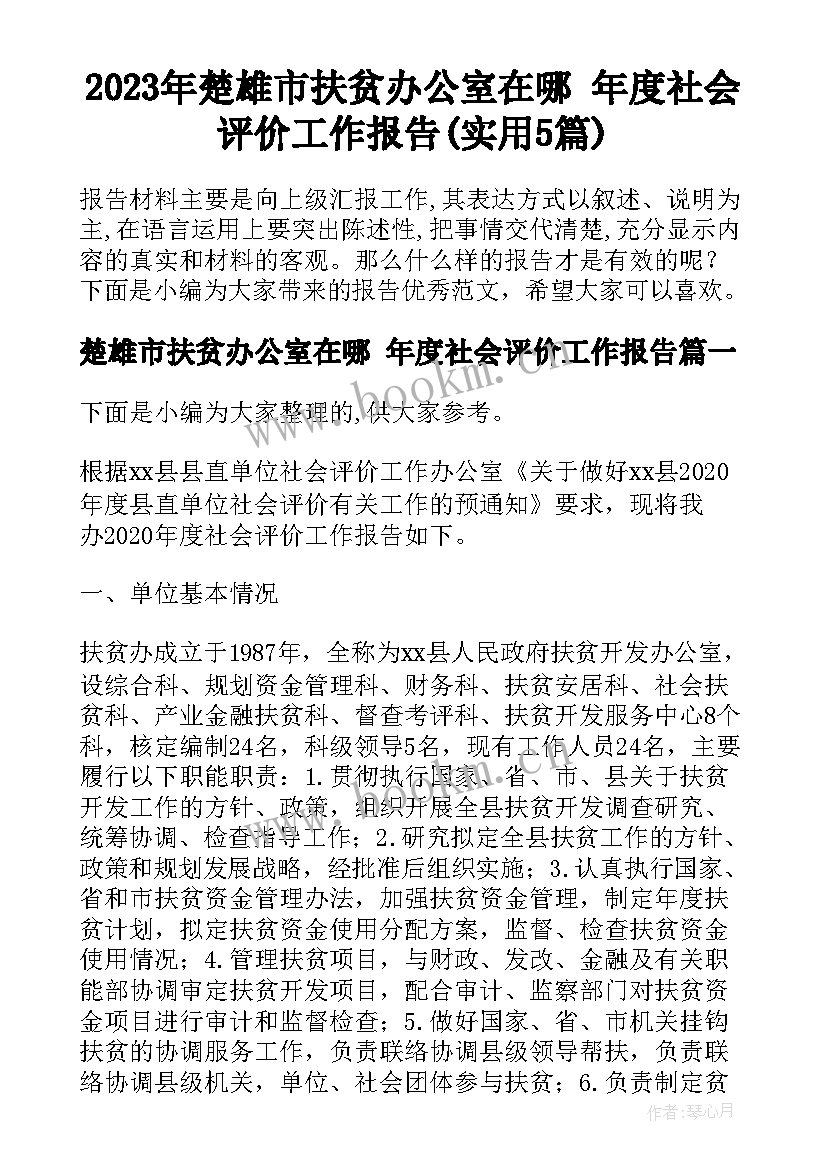 2023年楚雄市扶贫办公室在哪 年度社会评价工作报告(实用5篇)