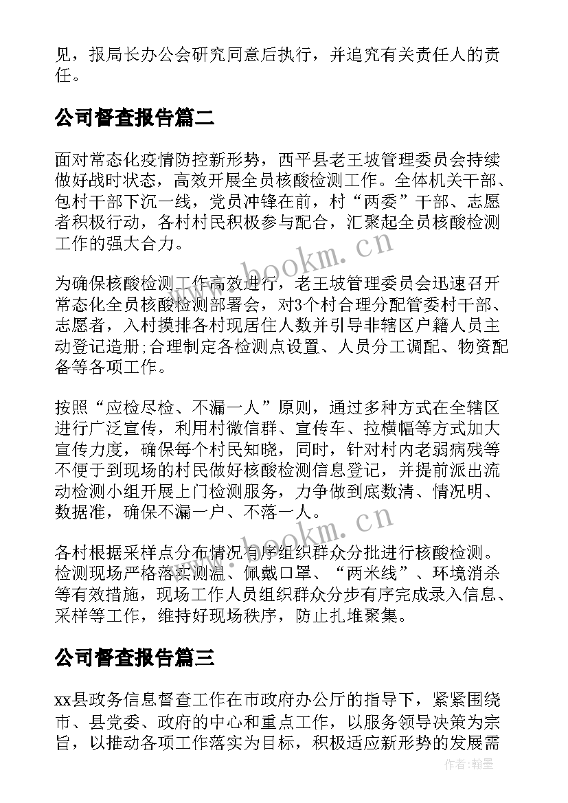 最新公司督查报告(实用6篇)