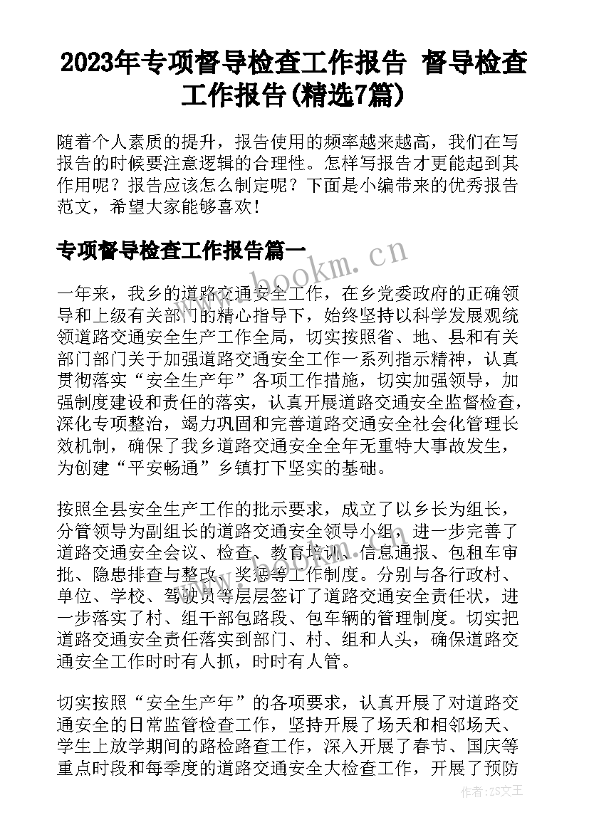 2023年专项督导检查工作报告 督导检查工作报告(精选7篇)