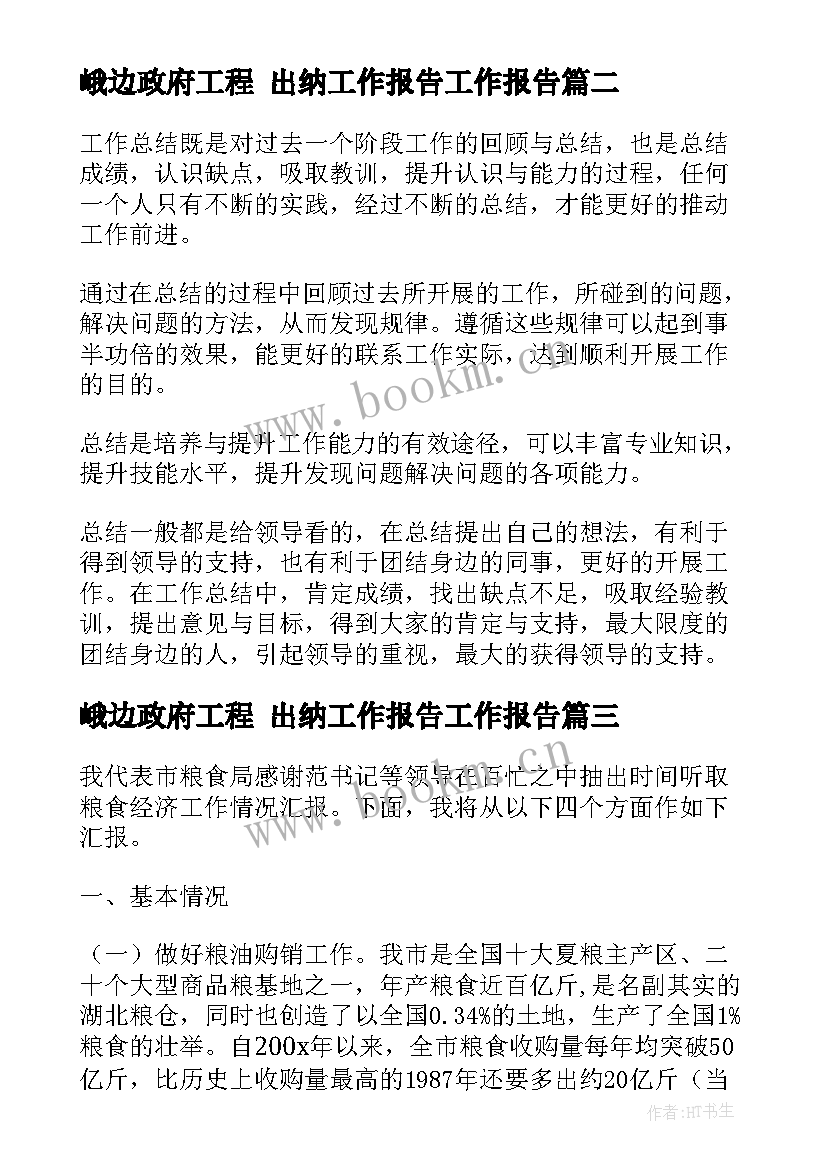 最新峨边政府工程 出纳工作报告工作报告(大全6篇)