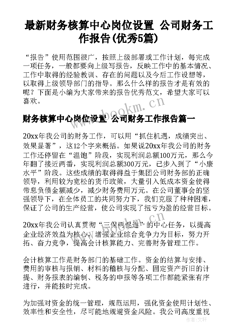 最新财务核算中心岗位设置 公司财务工作报告(优秀5篇)