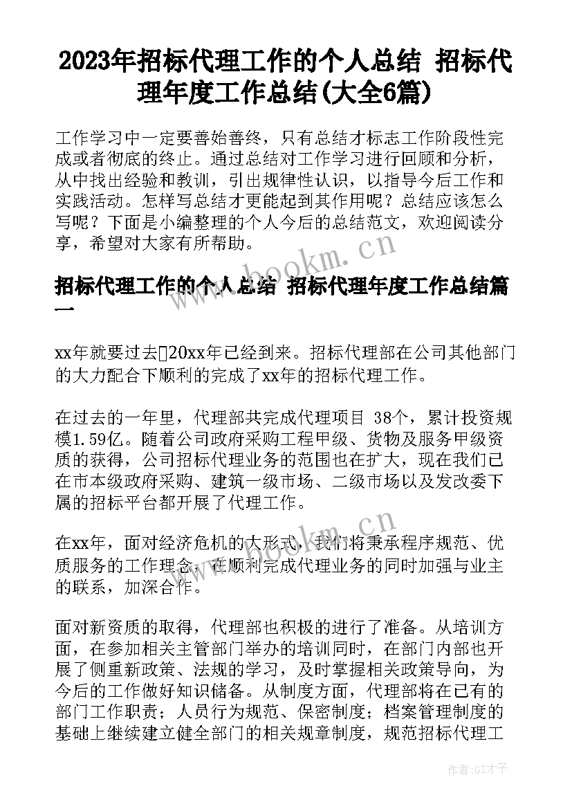 2023年招标代理工作的个人总结 招标代理年度工作总结(大全6篇)