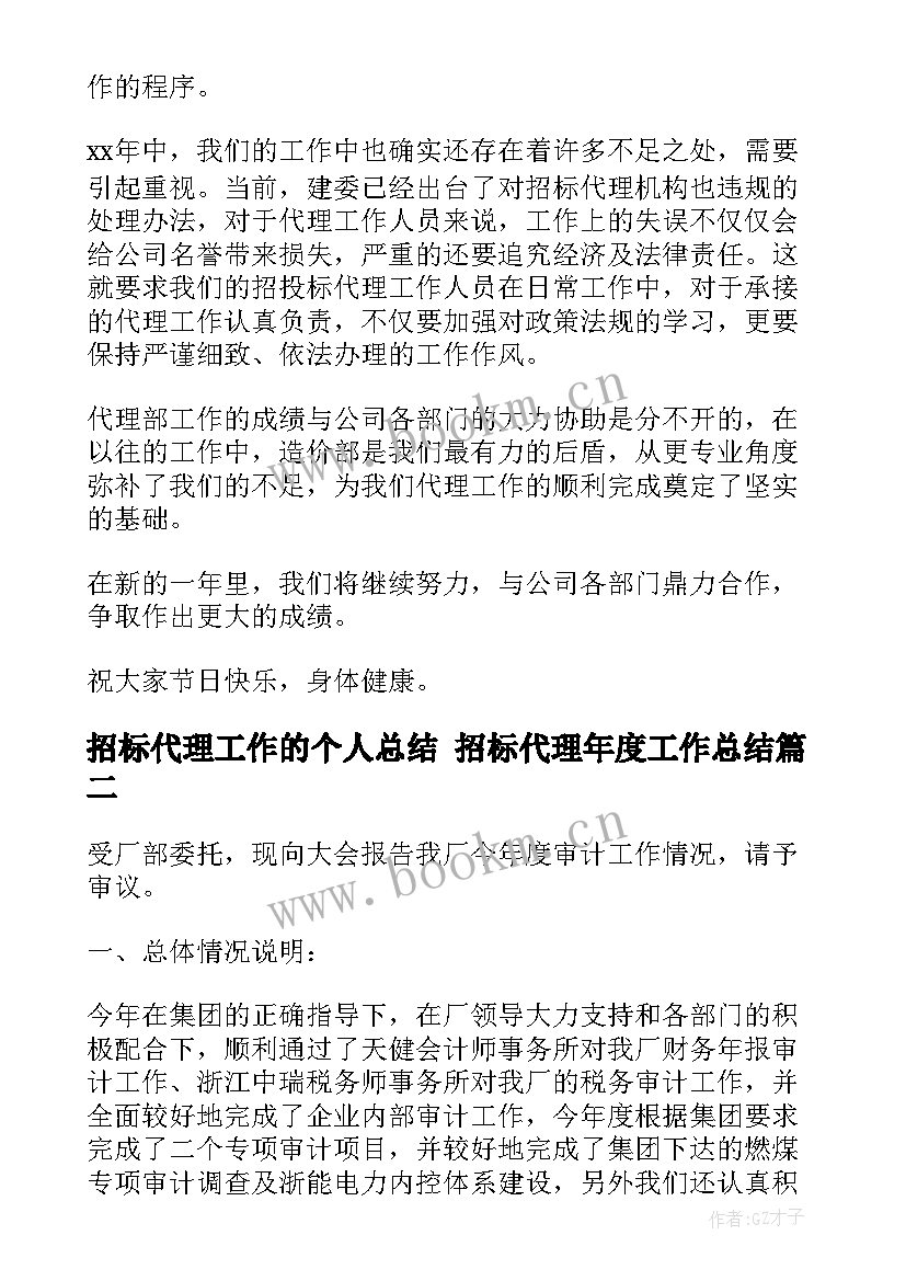 2023年招标代理工作的个人总结 招标代理年度工作总结(大全6篇)