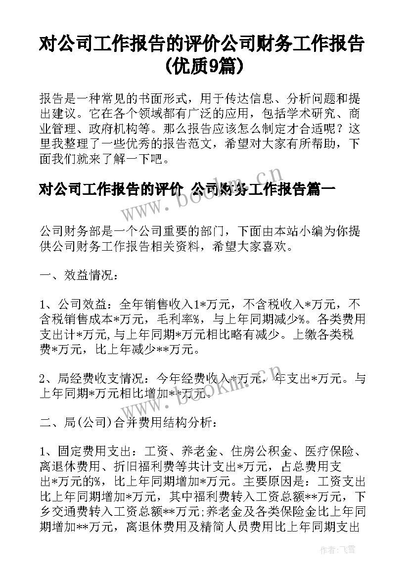 对公司工作报告的评价 公司财务工作报告(优质9篇)