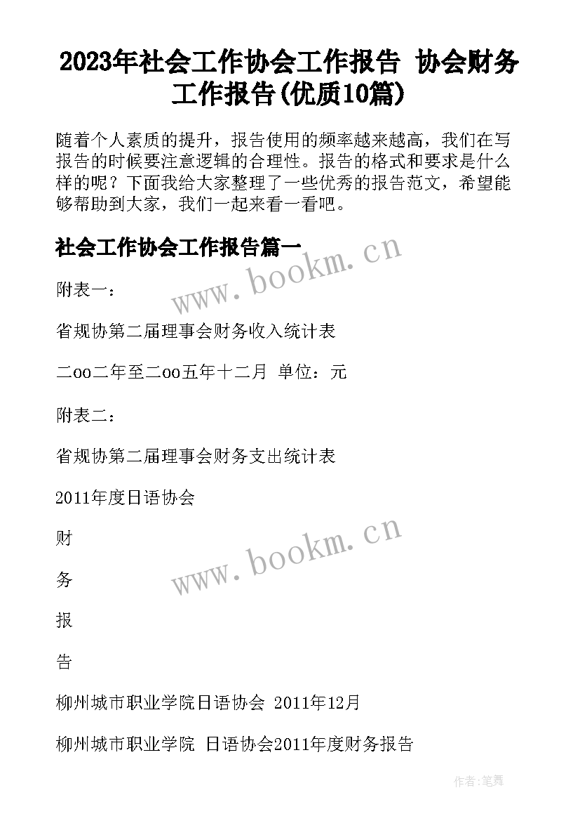 2023年社会工作协会工作报告 协会财务工作报告(优质10篇)