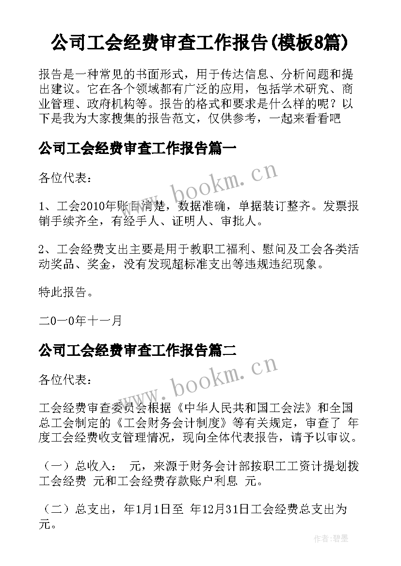 公司工会经费审查工作报告(模板8篇)