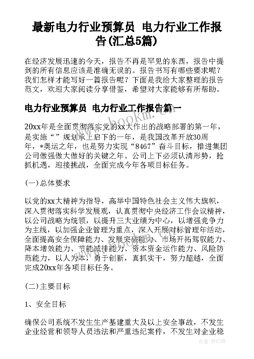 最新电力行业预算员 电力行业工作报告(汇总5篇)