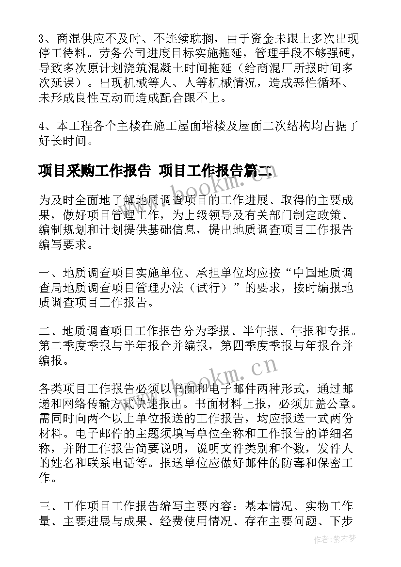 项目采购工作报告 项目工作报告(大全9篇)