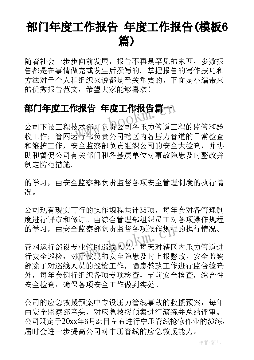 部门年度工作报告 年度工作报告(模板6篇)