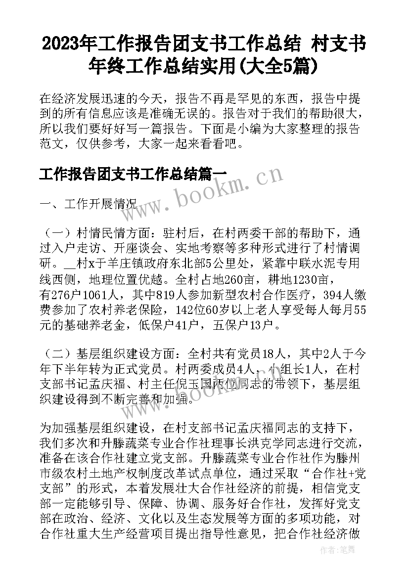 2023年工作报告团支书工作总结 村支书年终工作总结实用(大全5篇)