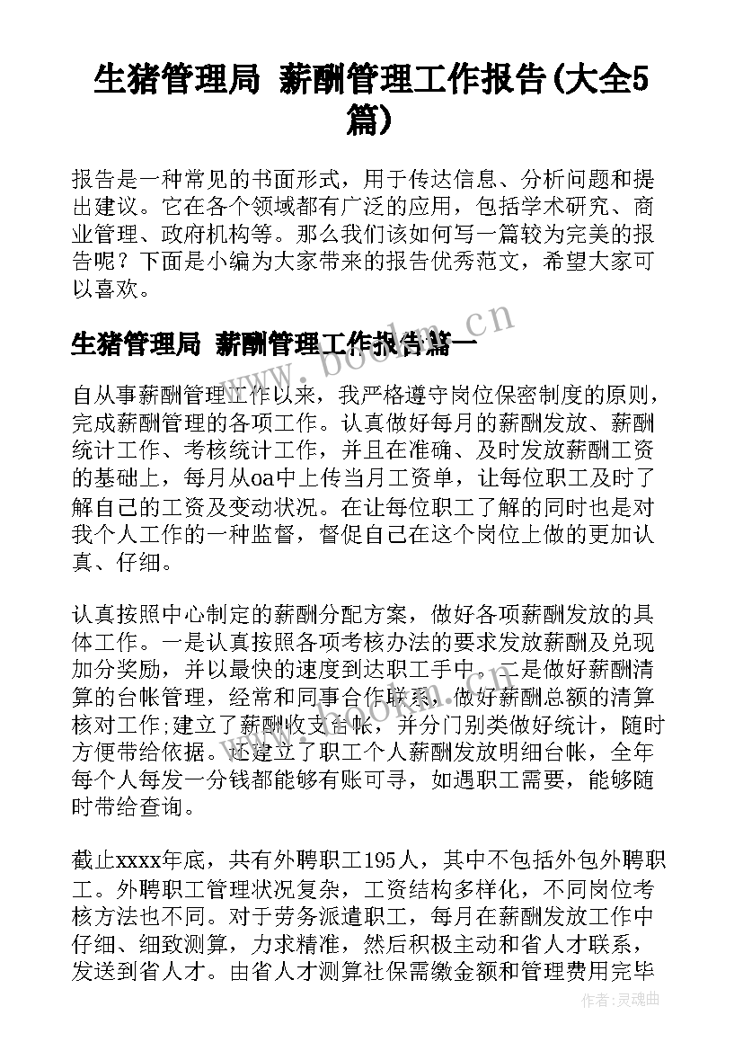 生猪管理局 薪酬管理工作报告(大全5篇)