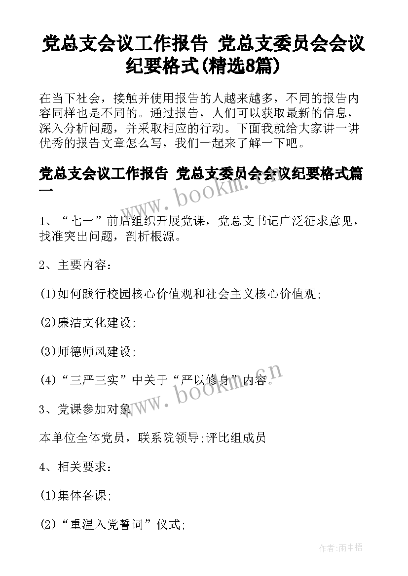 党总支会议工作报告 党总支委员会会议纪要格式(精选8篇)