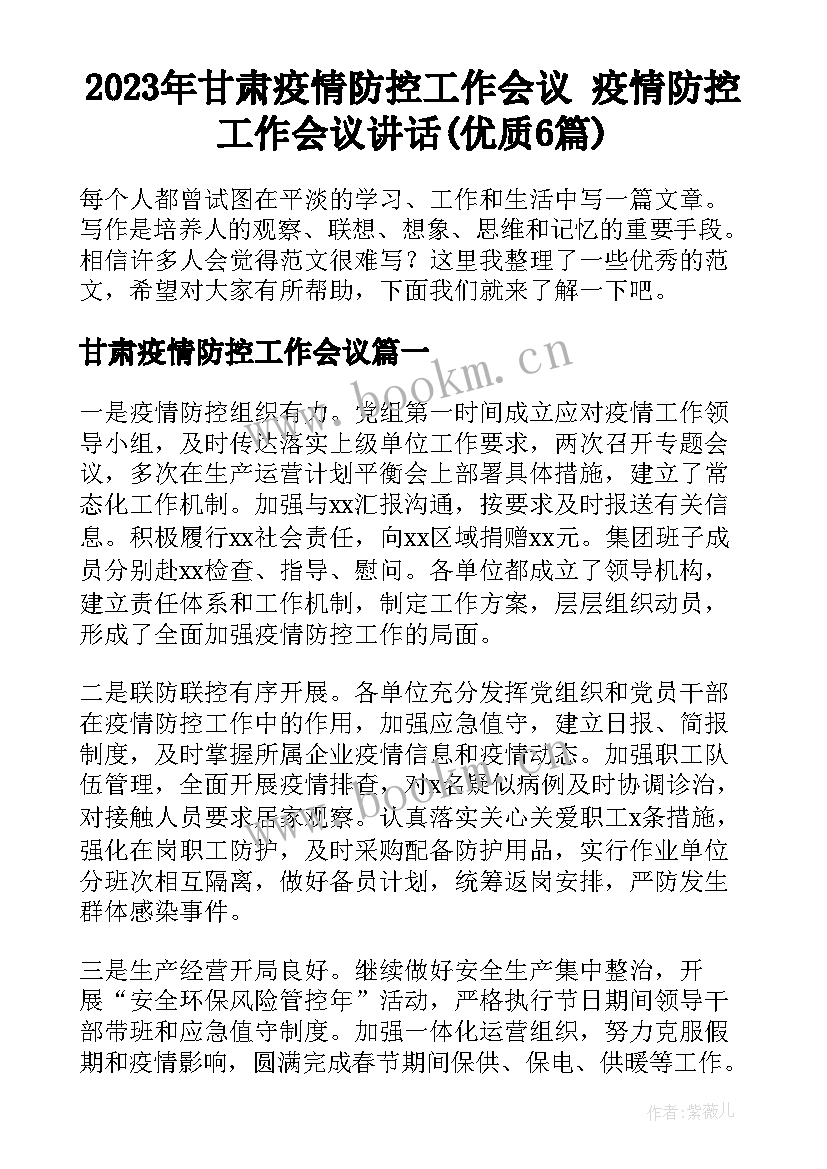 2023年甘肃疫情防控工作会议 疫情防控工作会议讲话(优质6篇)