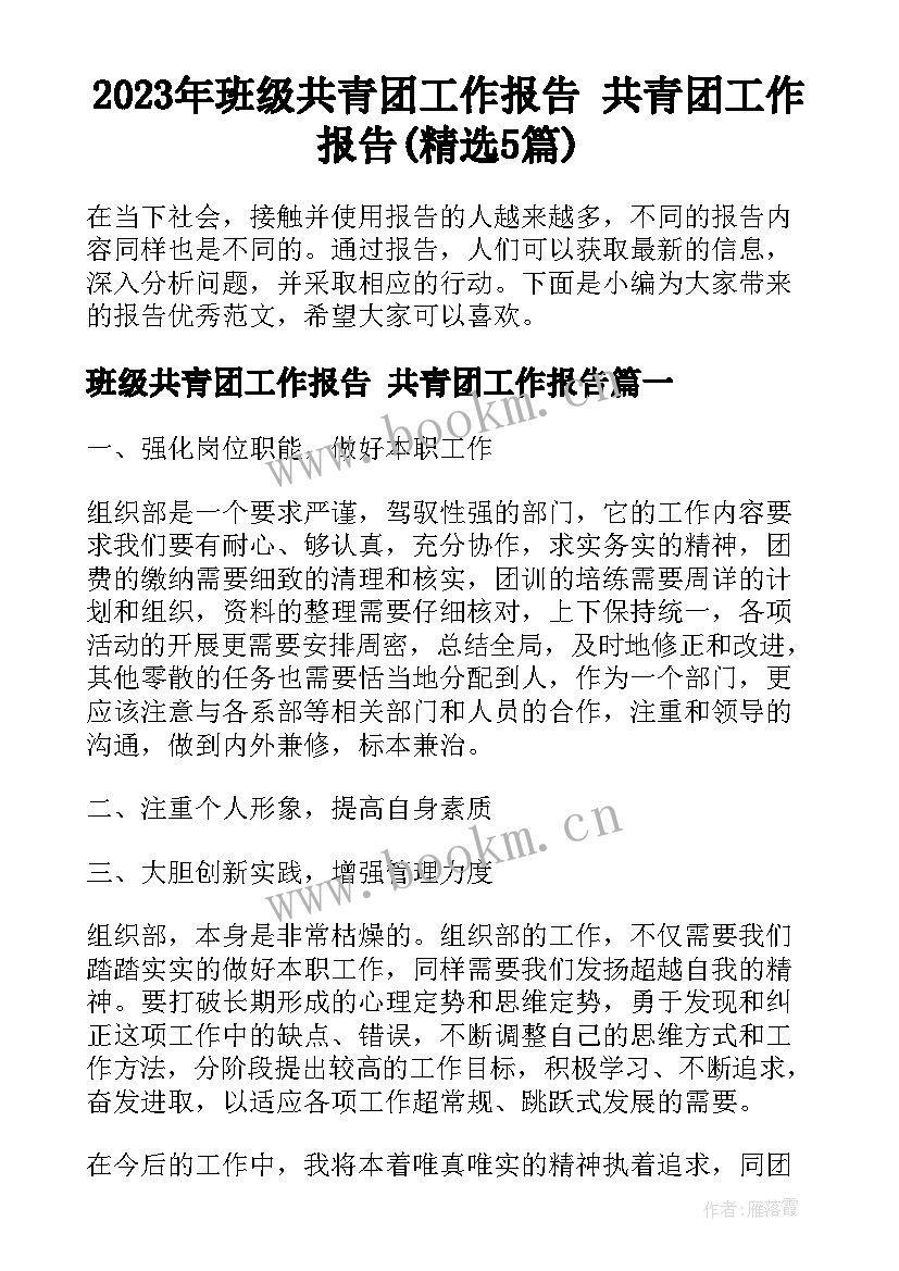 2023年班级共青团工作报告 共青团工作报告(精选5篇)