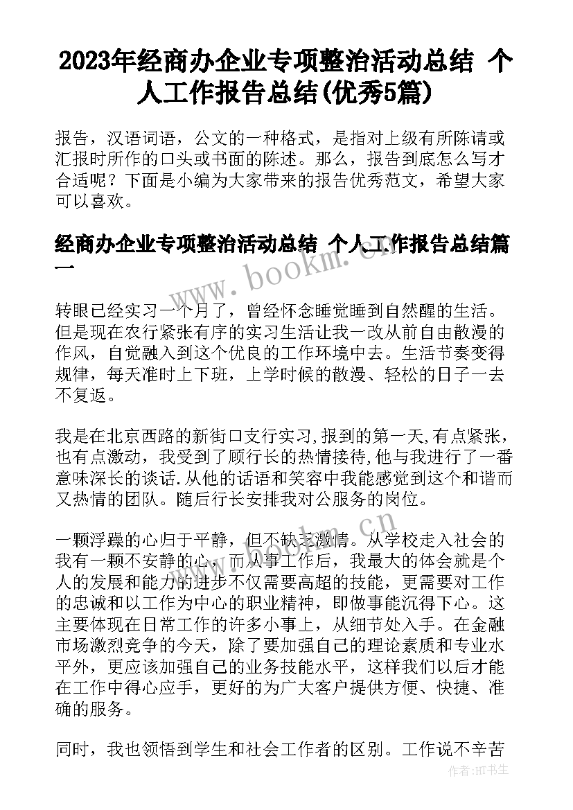 2023年经商办企业专项整治活动总结 个人工作报告总结(优秀5篇)