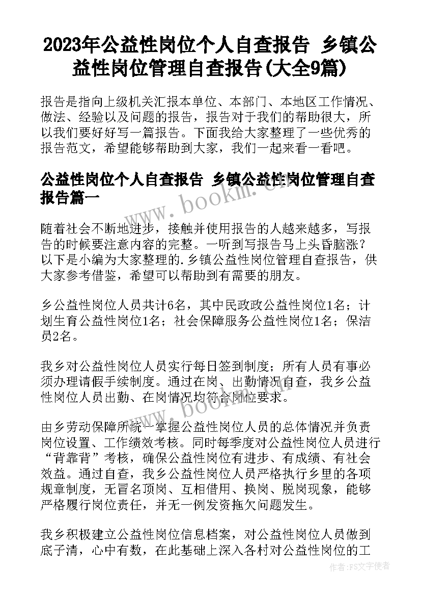 2023年公益性岗位个人自查报告 乡镇公益性岗位管理自查报告(大全9篇)