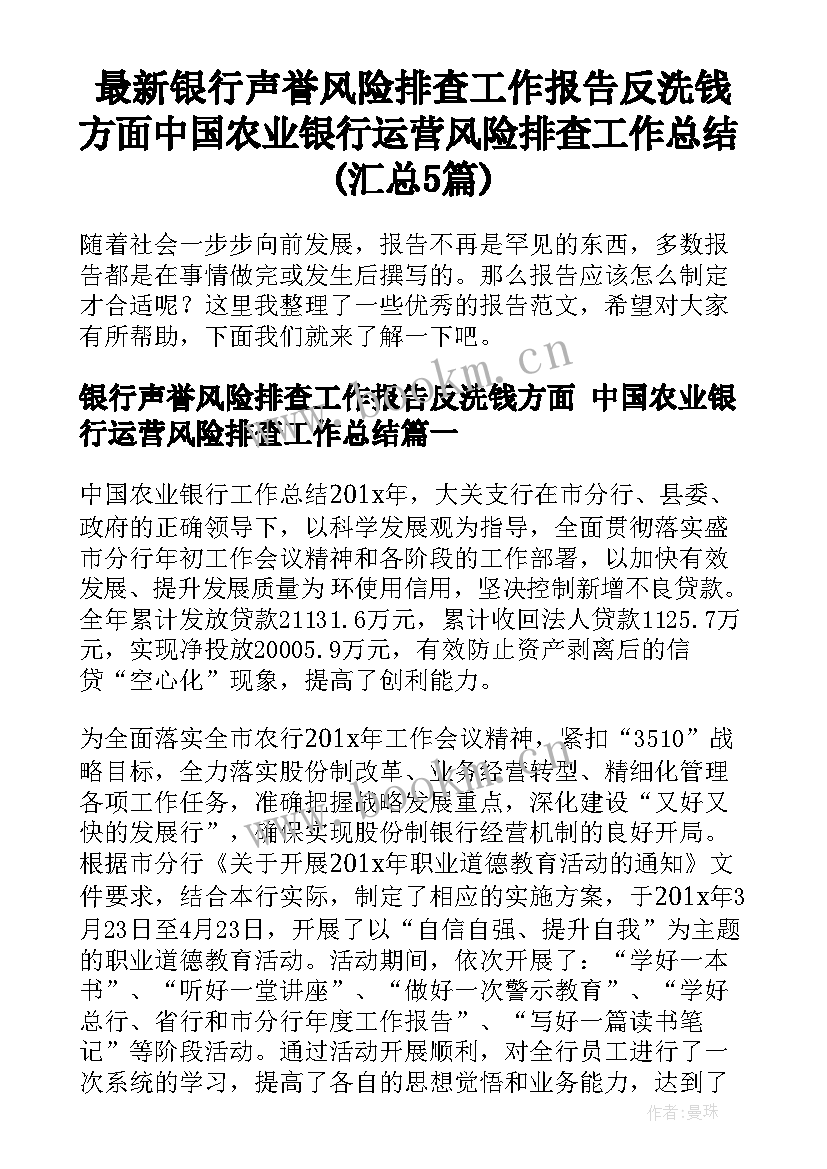 最新银行声誉风险排查工作报告反洗钱方面 中国农业银行运营风险排查工作总结(汇总5篇)