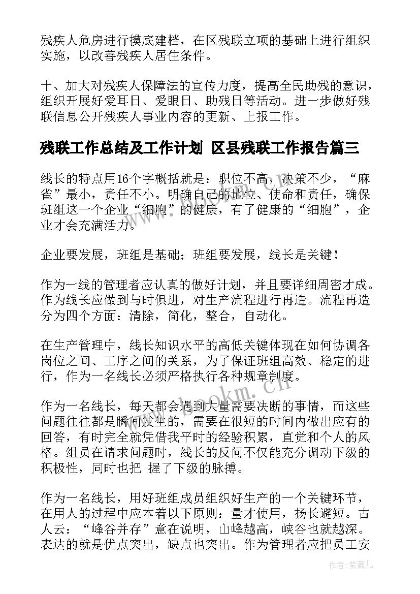 2023年残联工作总结及工作计划 区县残联工作报告(通用5篇)