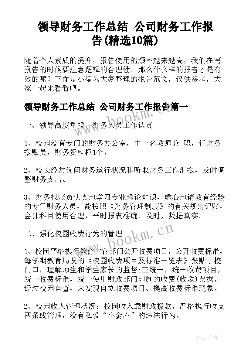 领导财务工作总结 公司财务工作报告(精选10篇)