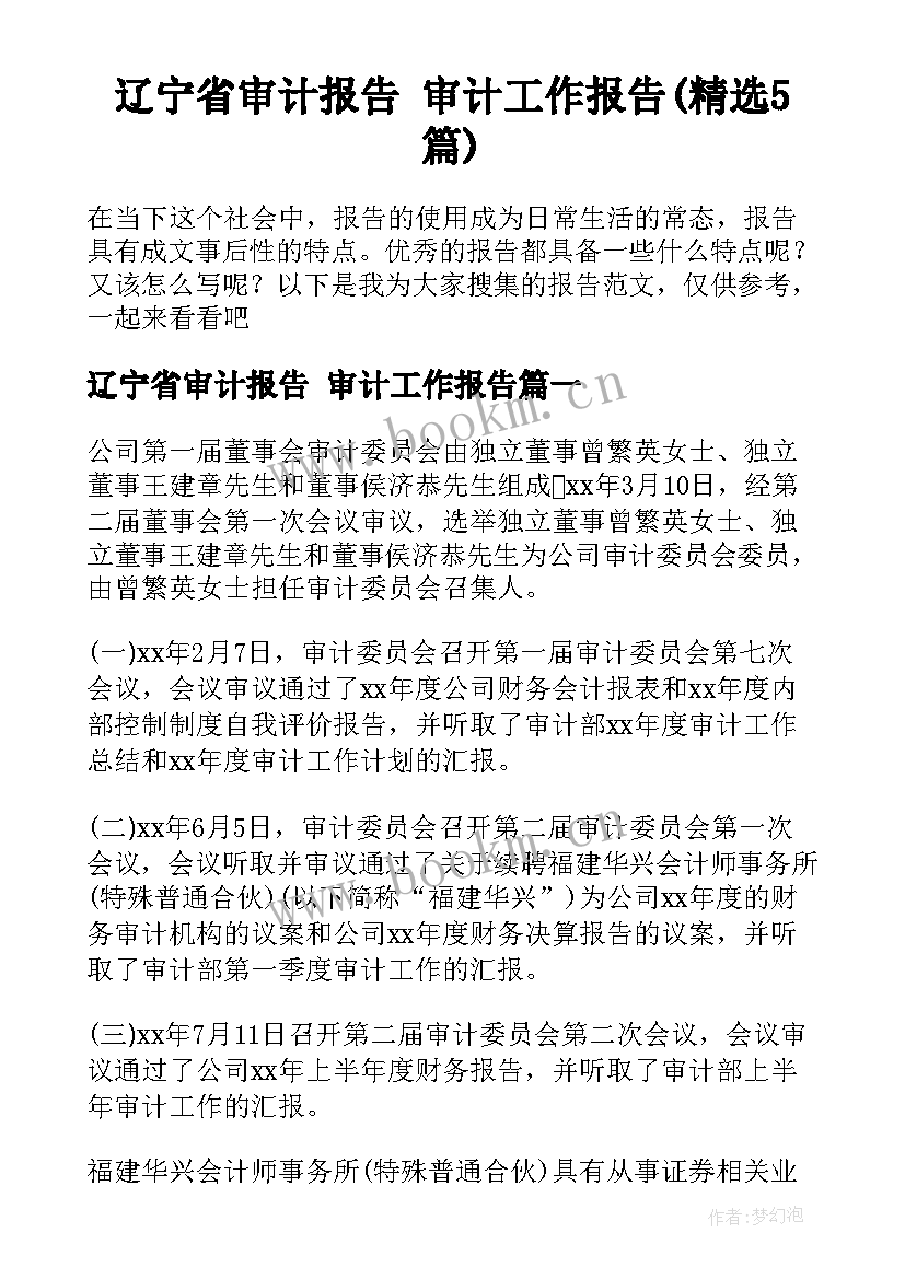 辽宁省审计报告 审计工作报告(精选5篇)