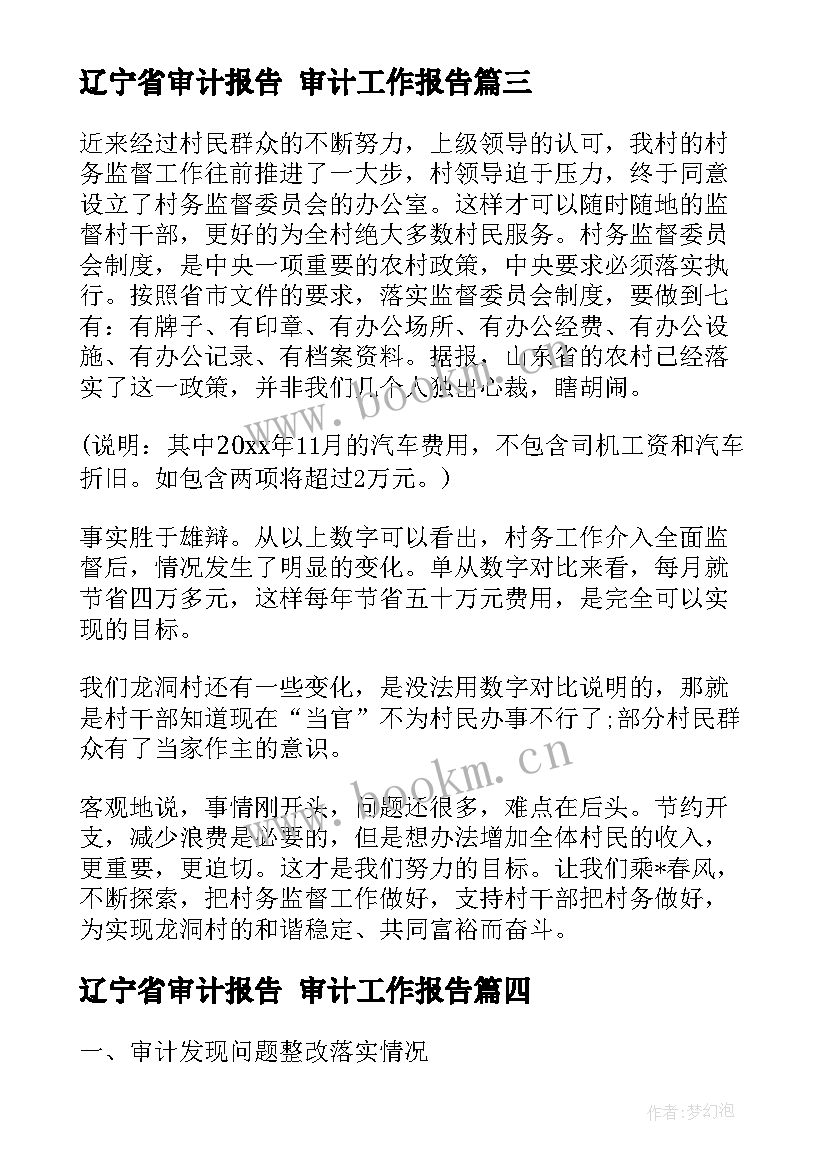 辽宁省审计报告 审计工作报告(精选5篇)