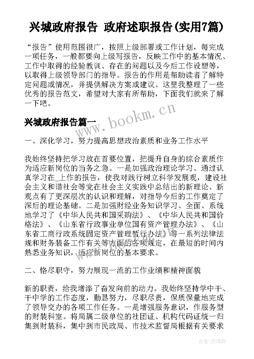 兴城政府报告 政府述职报告(实用7篇)