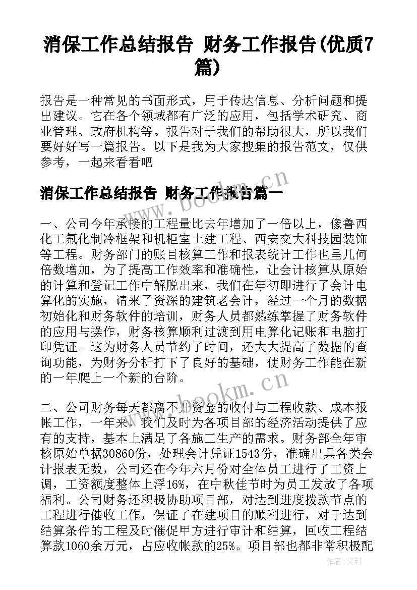 消保工作总结报告 财务工作报告(优质7篇)