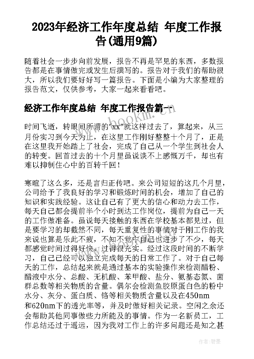 2023年经济工作年度总结 年度工作报告(通用9篇)