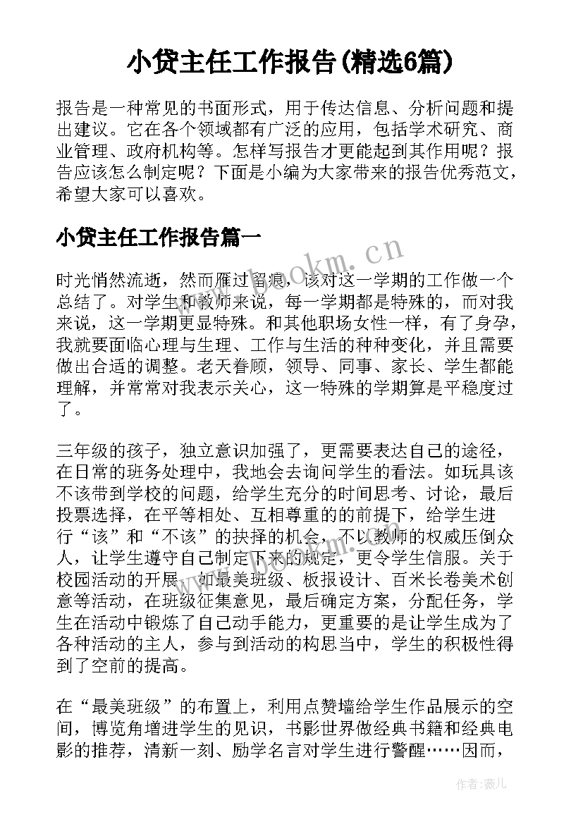 小贷主任工作报告(精选6篇)