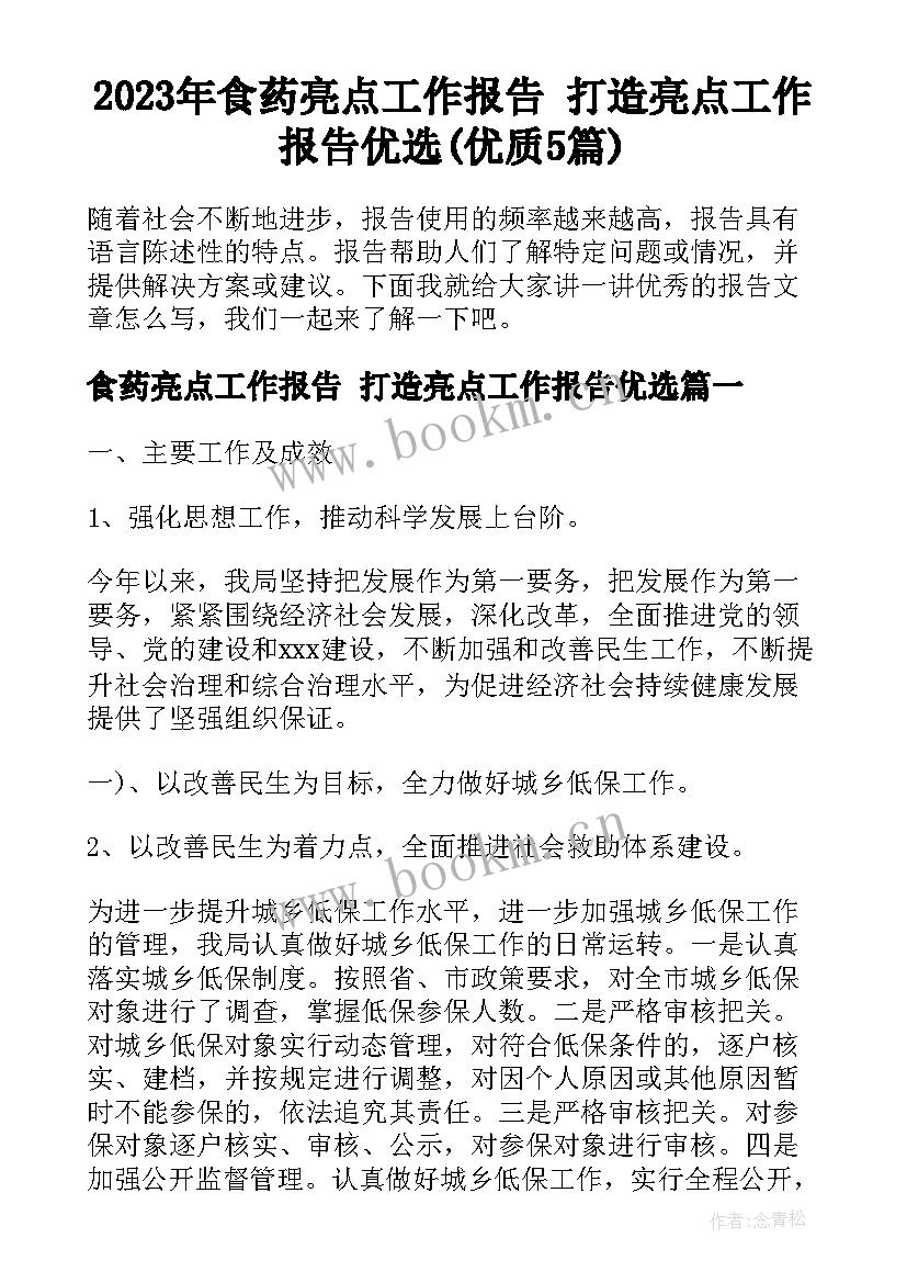 2023年食药亮点工作报告 打造亮点工作报告优选(优质5篇)