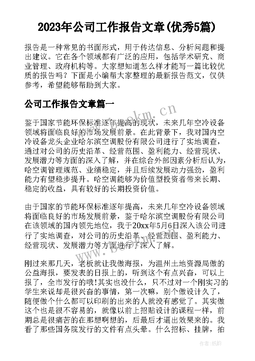 2023年公司工作报告文章(优秀5篇)