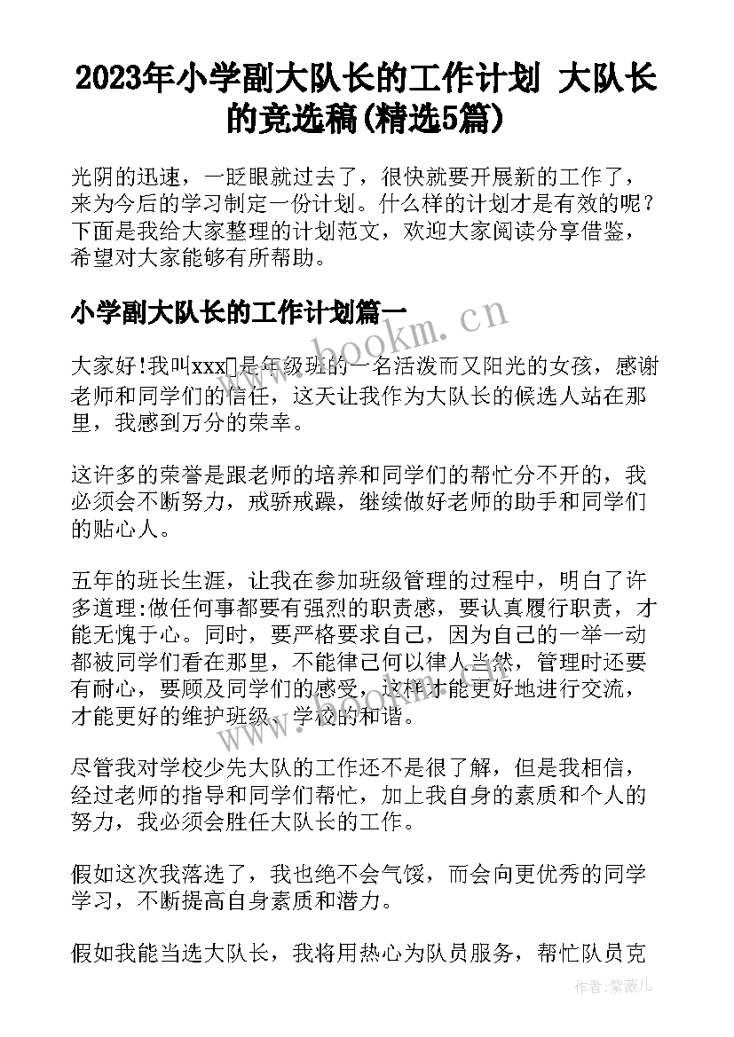 2023年小学副大队长的工作计划 大队长的竞选稿(精选5篇)