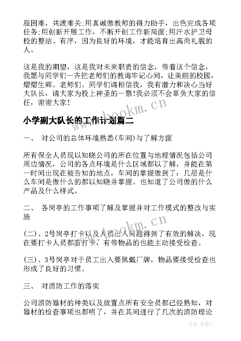 2023年小学副大队长的工作计划 大队长的竞选稿(精选5篇)