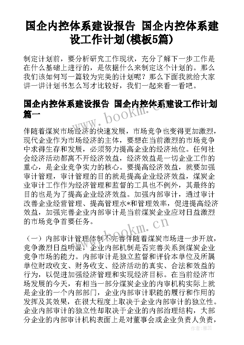 国企内控体系建设报告 国企内控体系建设工作计划(模板5篇)