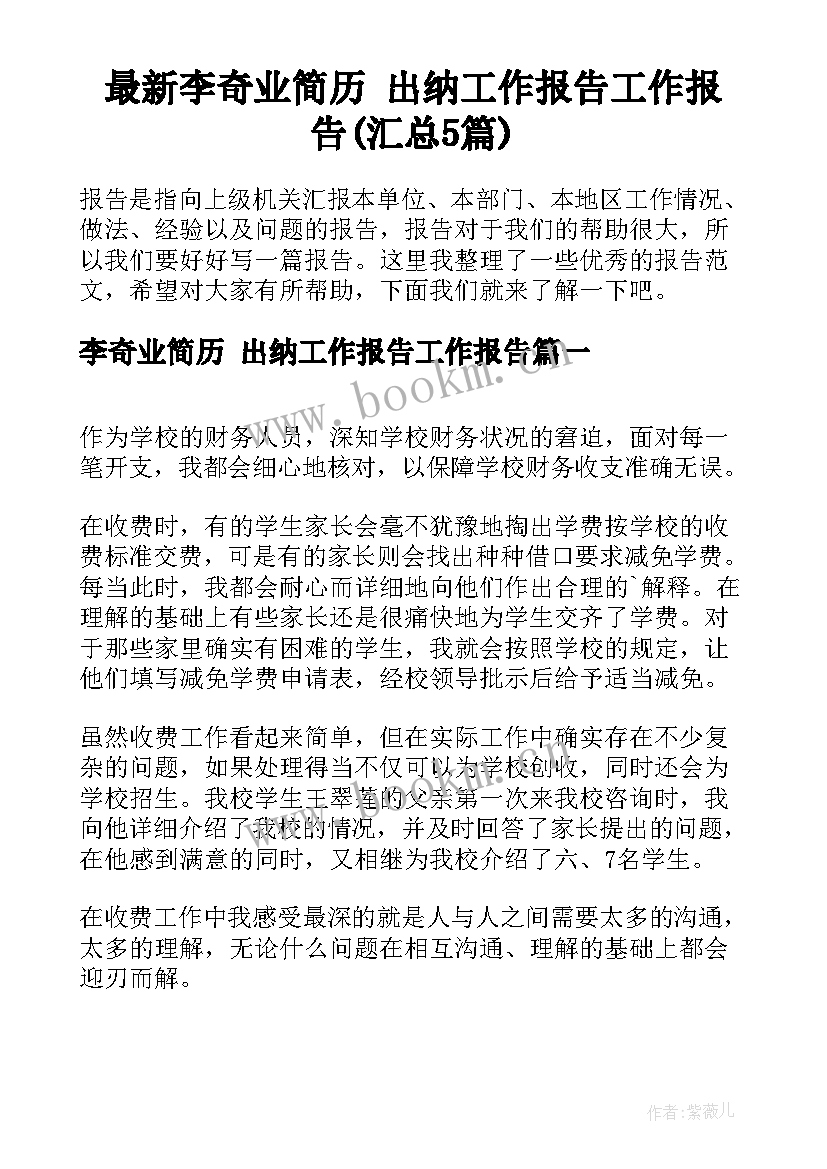 最新李奇业简历 出纳工作报告工作报告(汇总5篇)