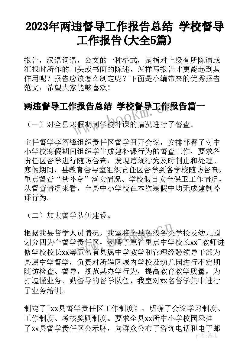 2023年两违督导工作报告总结 学校督导工作报告(大全5篇)