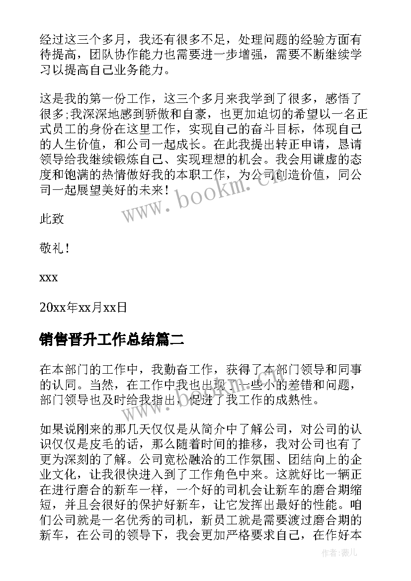 2023年销售晋升工作总结(大全5篇)