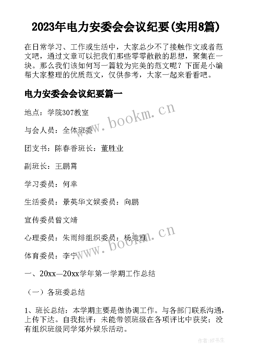 2023年电力安委会会议纪要(实用8篇)