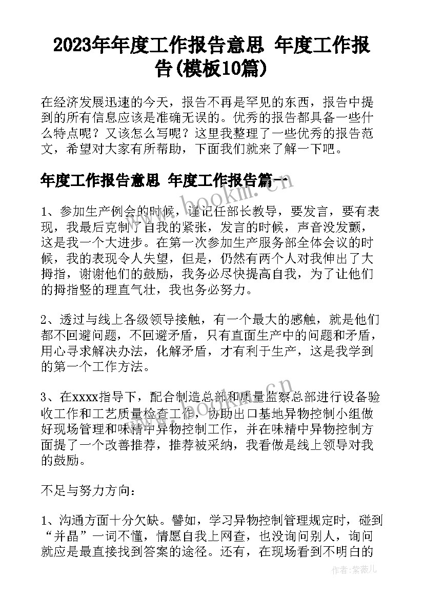 2023年年度工作报告意思 年度工作报告(模板10篇)