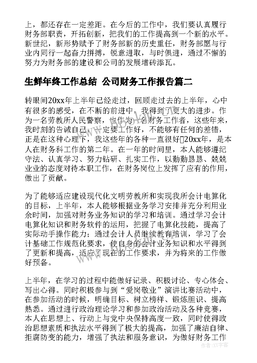 最新生鲜年终工作总结 公司财务工作报告(优质6篇)