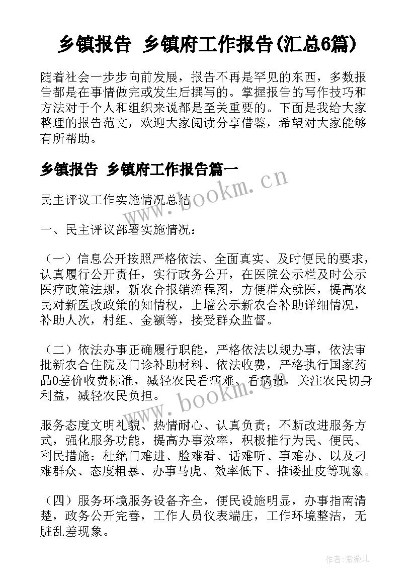 乡镇报告 乡镇府工作报告(汇总6篇)