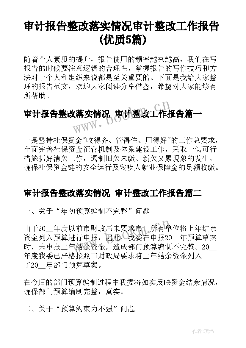 审计报告整改落实情况 审计整改工作报告(优质5篇)