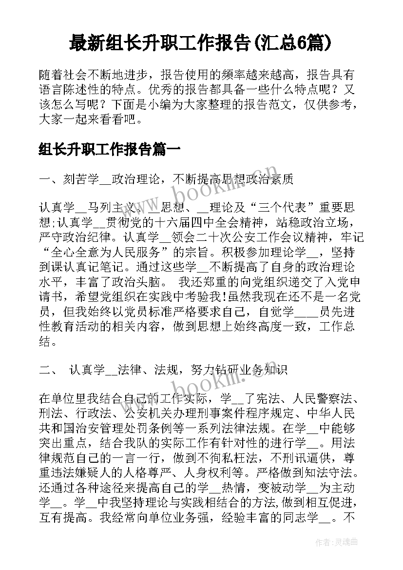 最新组长升职工作报告(汇总6篇)