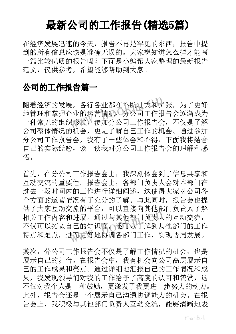 最新公司的工作报告(精选5篇)