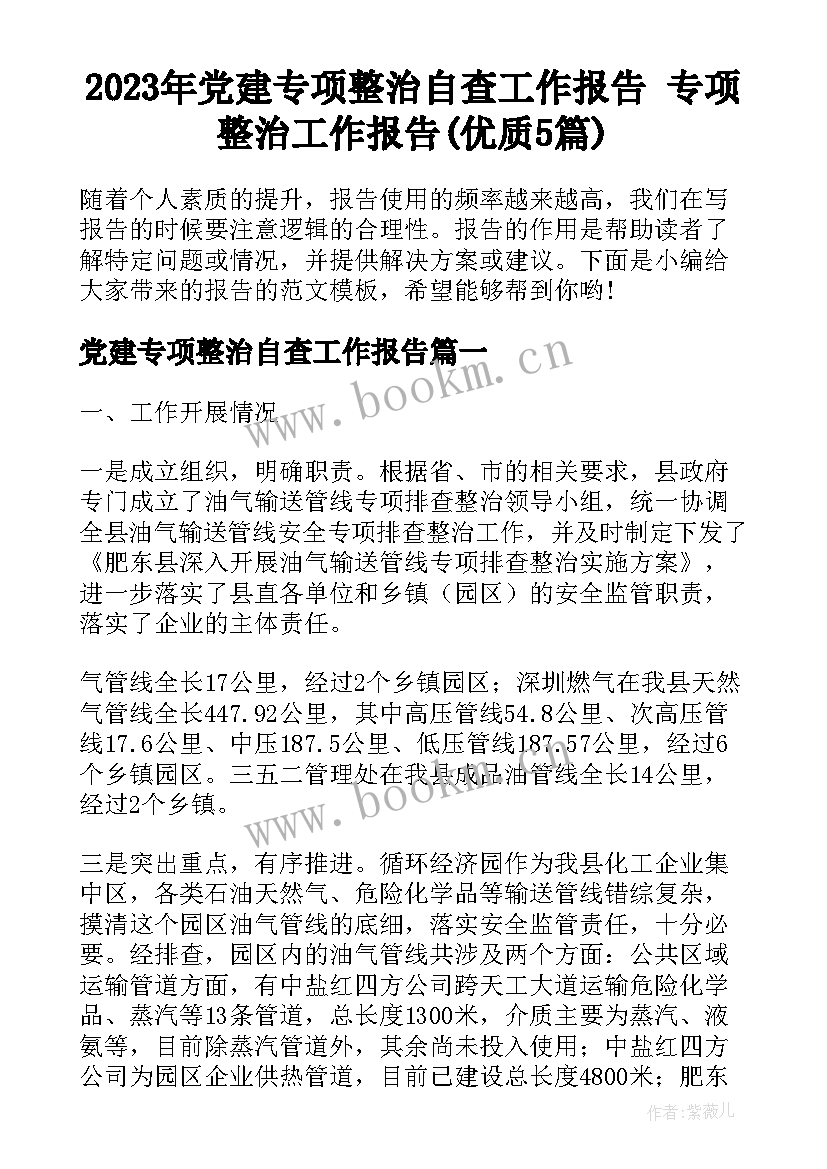 2023年党建专项整治自查工作报告 专项整治工作报告(优质5篇)