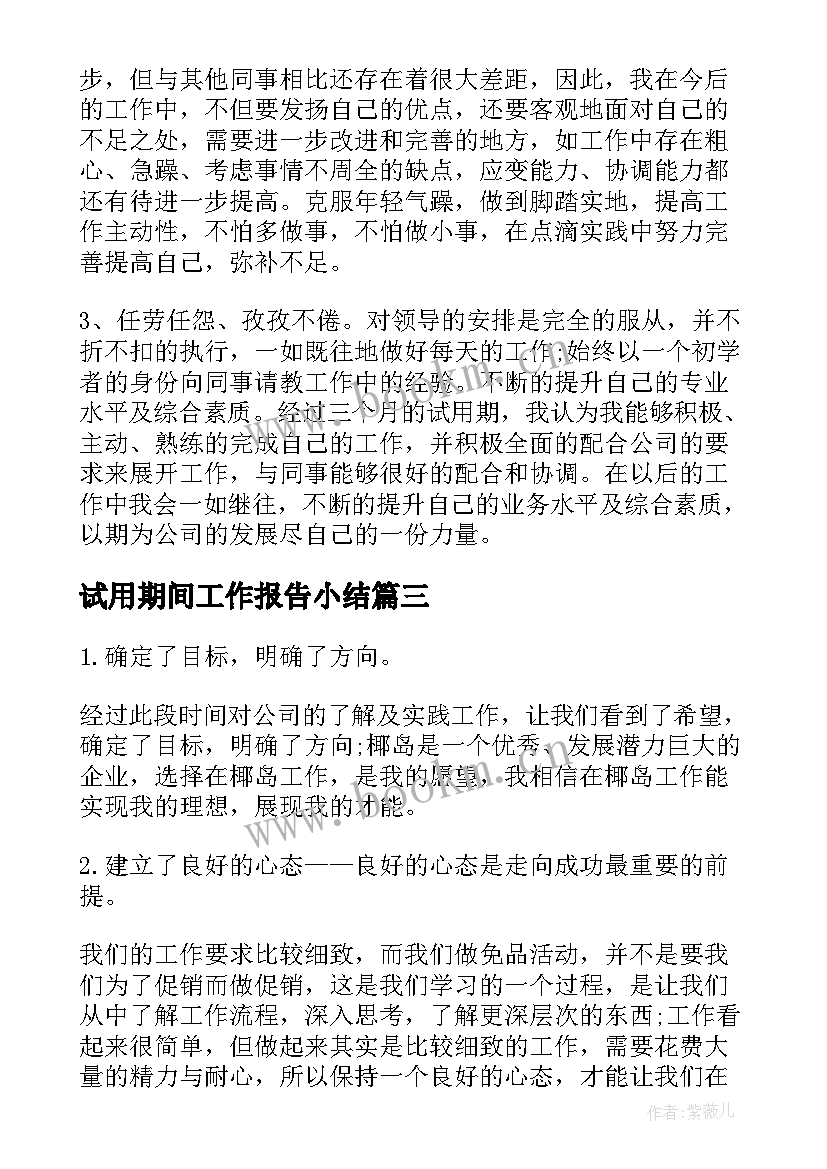 试用期间工作报告小结(模板7篇)